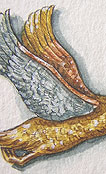 detail of brooch design