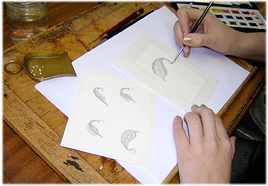 Nicky designing